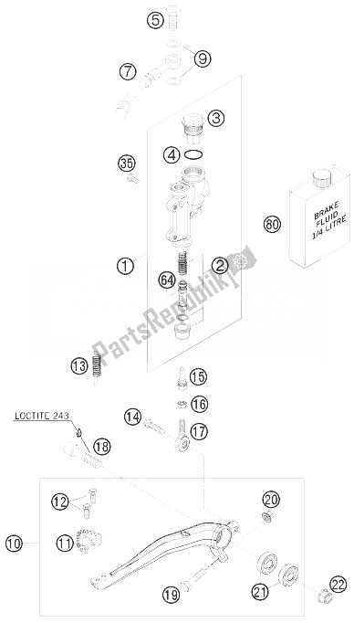 All parts for the Rear Brake Control of the KTM 250 SX F Europe 2010