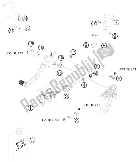 All parts for the Rear Brake Control of the KTM 990 Super Duke R Europe 2009