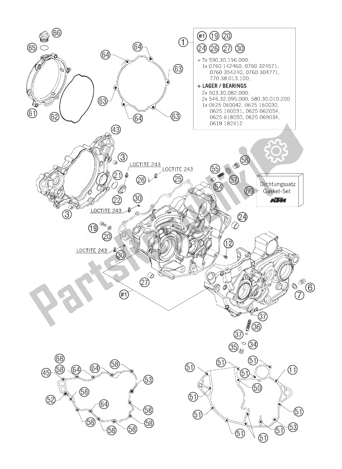 Tutte le parti per il Cassa Del Motore del KTM 250 SXS F Europe 2007