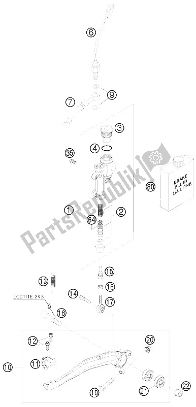 All parts for the Rear Brake Control of the KTM 125 EXC Europe 2012