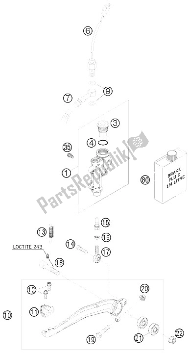 Todas las partes para Control De Freno Trasero de KTM 125 EXC SIX Days Europe 2011