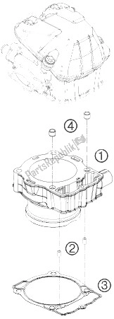 All parts for the Cylinder of the KTM 450 EXC Champion Edit Europe 2010