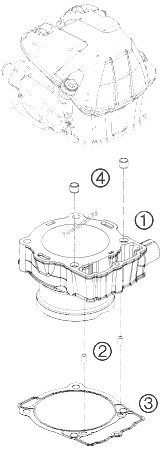 All parts for the Cylinder of the KTM 530 EXC Champion Edit USA 2010