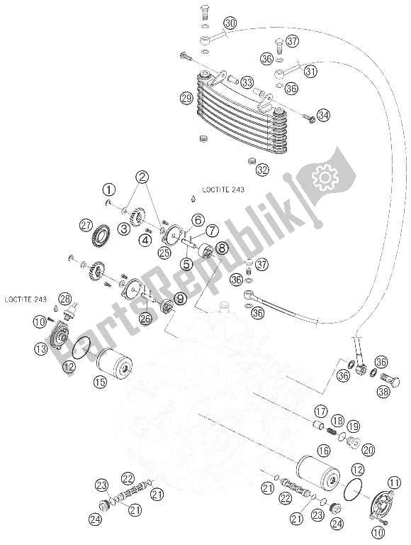 All parts for the Lubricating System of the KTM 690 Rally Factory Replica Europe 2008