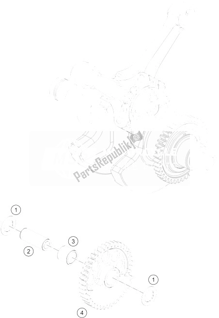 All parts for the Balancer Shaft of the KTM 1290 Superduke R Orange ABS 14 Europe 2014