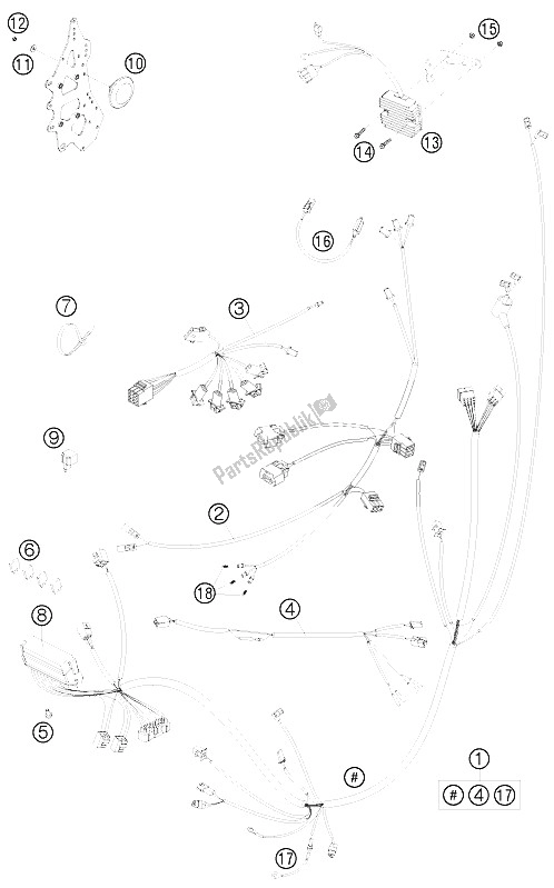All parts for the Wiring Harness of the KTM 690 Rally Factory Replica Europe 2009