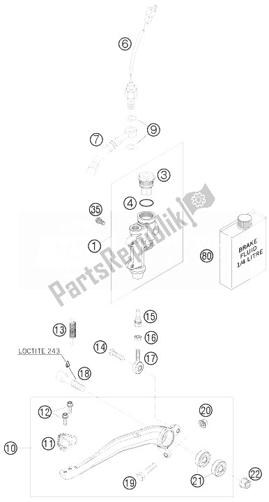 All parts for the Rear Brake Control of the KTM 250 EXC SIX Days Europe 2010