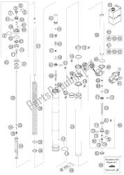 steli forcella wp usd 48