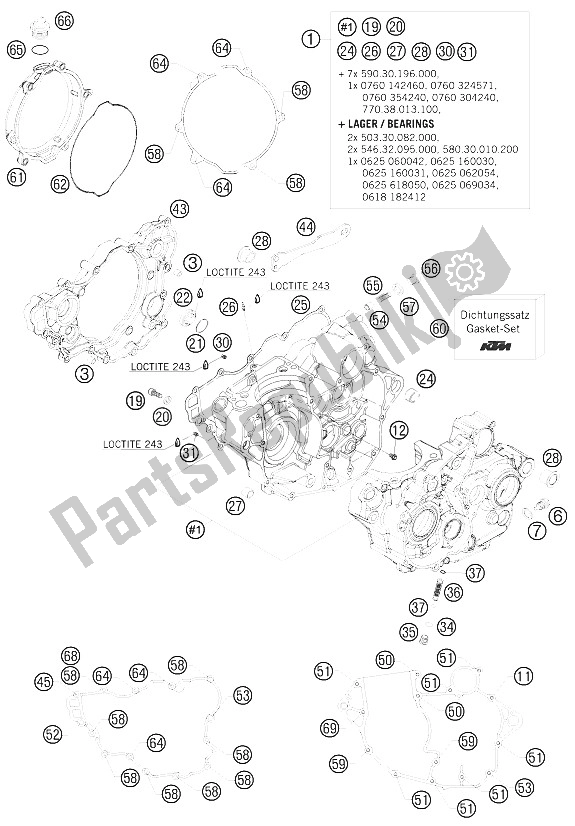 Tutte le parti per il Cassa Del Motore del KTM 250 EXC F Australia 2009