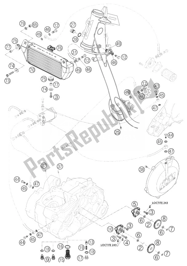 Todas las partes para Sistema De Lubricación 660 Rallye de KTM 660 Rallye Factory Repl Europe 2003