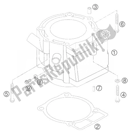 All parts for the Cylinder of the KTM 450 SMR Europe 2007