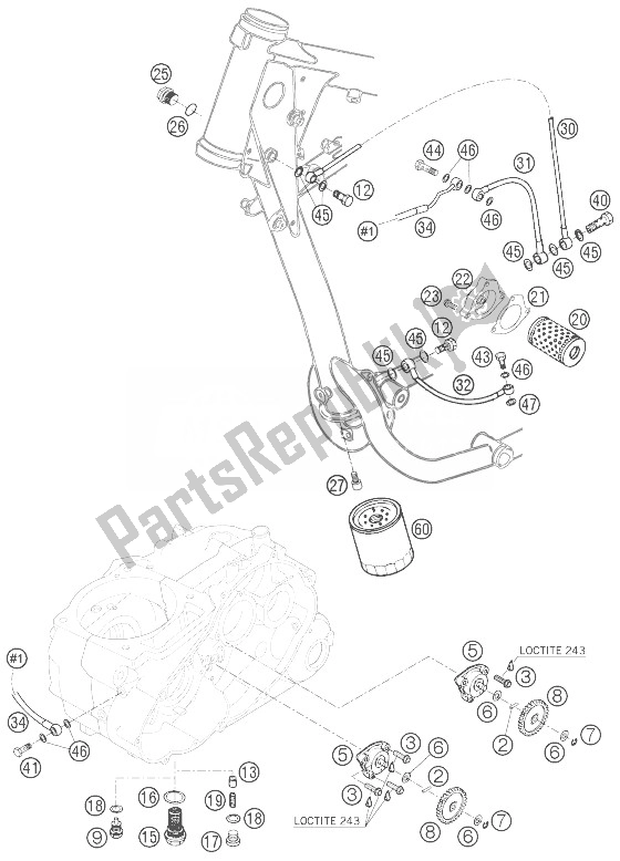 Tutte le parti per il Sistema Di Lubrificazione del KTM 625 SXC Europe 2007