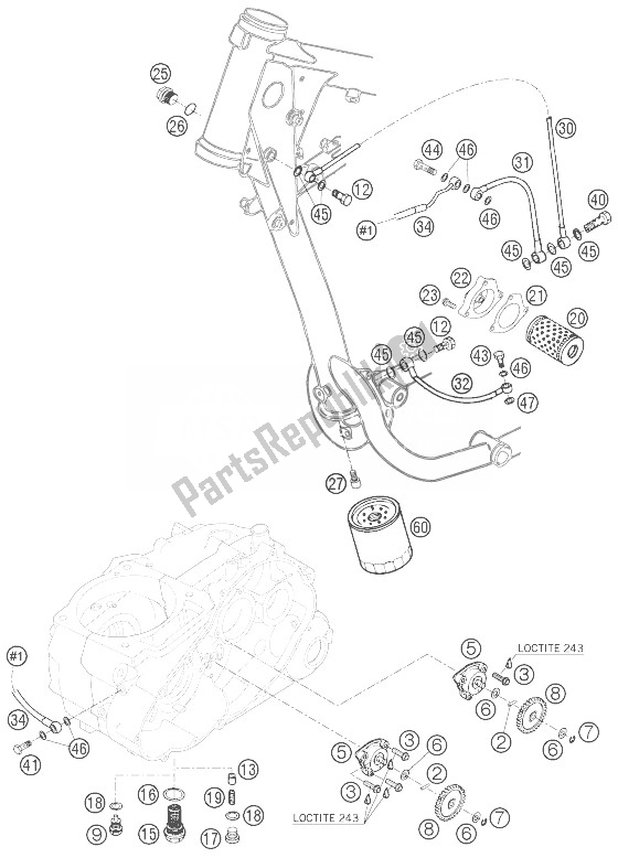 All parts for the Lubricating System of the KTM 640 Adventure Europe 2007