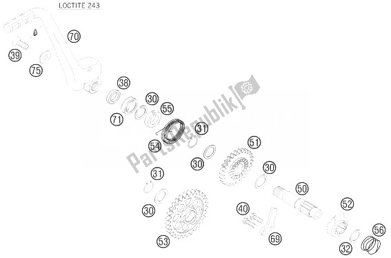 All parts for the Kick Starter of the KTM 250 EXC F Champion Edit Europe 2010