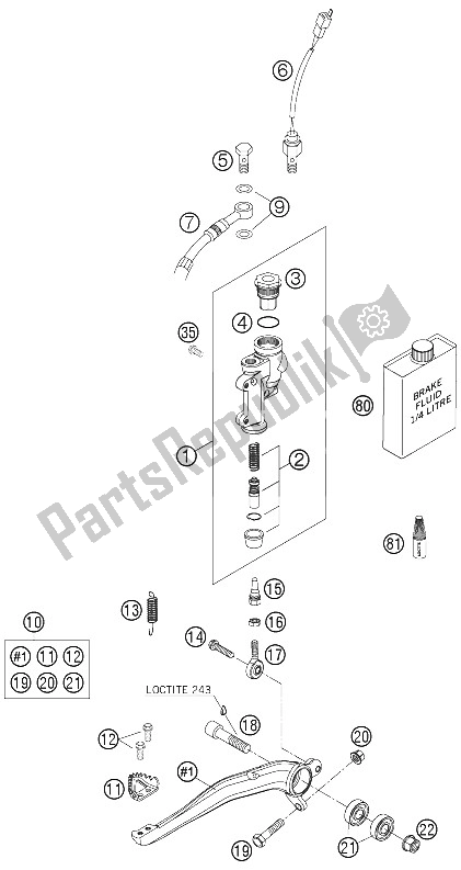 All parts for the Rear Brake Control of the KTM 125 EXC Europe 2005