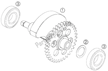 All parts for the Balancer Shaft of the KTM 690 Rally Factory Replica Europe 2009