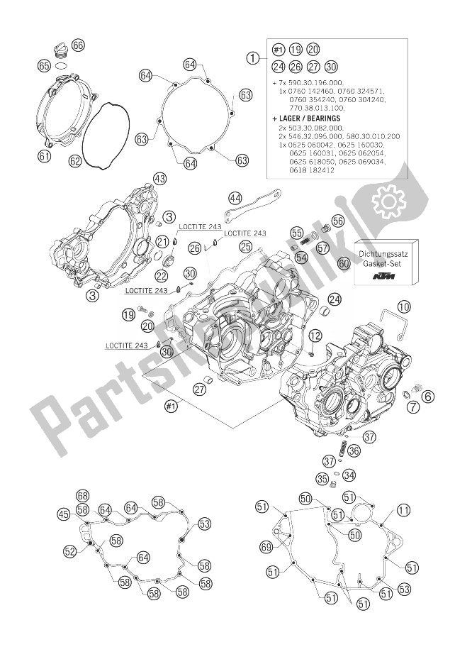 All parts for the Engine Case of the KTM 250 EXC F Australia 2007