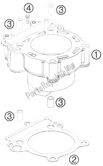 Tutte le parti per il Cilindro del KTM 250 XCF W Champion Edit USA 2010