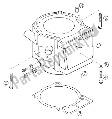 Tutte le parti per il Cilindro 250 Exc Racing 2002 del KTM 250 EXC Racing Europe 2002