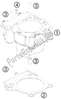 Tutte le parti per il Cilindro del KTM 250 SXS F Europe 2008