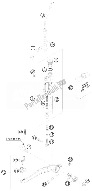 All parts for the Rear Brake Control of the KTM 125 EXC Europe 2010