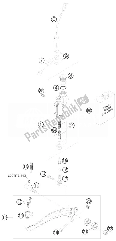 All parts for the Rear Brake Control of the KTM 300 EXC Australia 2010