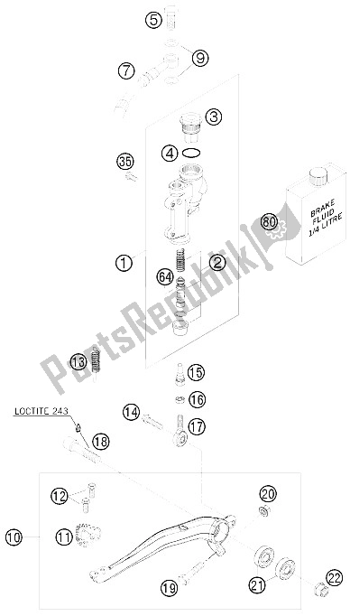 All parts for the Rear Brake Control of the KTM 250 EXC SIX Days Europe 2008