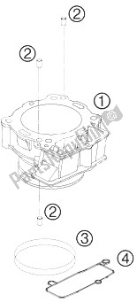 Toutes les pièces pour le Cylindre du KTM 450 SMR Europe 2010