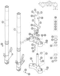 stelo forcella