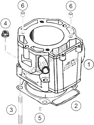 All parts for the Cylinder 450 Rallye of the KTM 450 Rallye Factory Repl Europe 2005