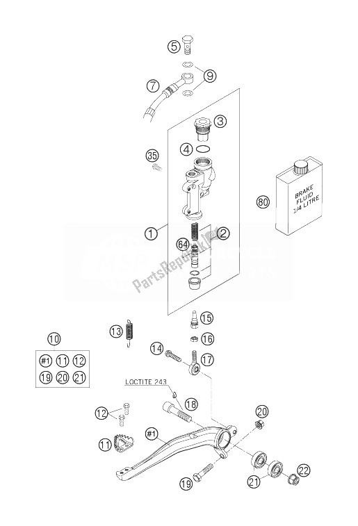 All parts for the Rear Brake Control of the KTM 250 EXC F SIX Days Europe 2007