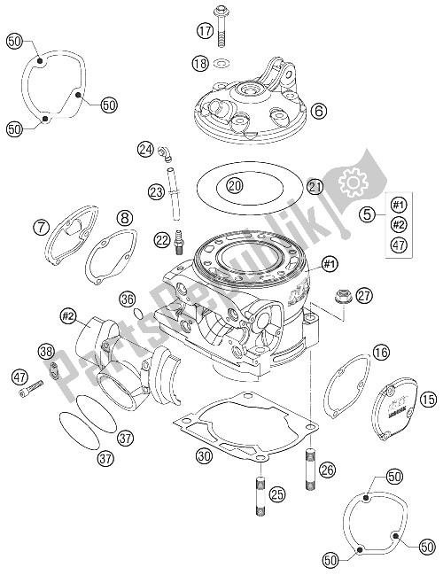 All parts for the Cylinder 250/300 of the KTM 250 EXC SIX Days Europe 2005