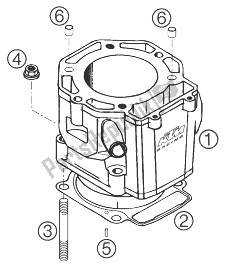 Wszystkie części do Cylinder KTM 660 Rally Factory Replica Europe 2007