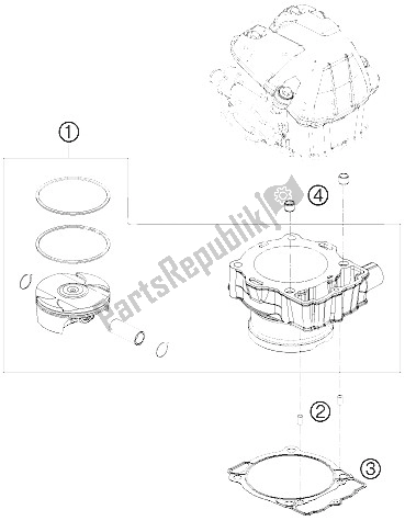 Tutte le parti per il Cilindro del KTM 530 EXC SIX Days Europe 2011