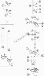 forcella anteriore, pinza tripla