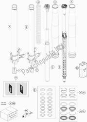 FRONT FORK DISASSEMBLED