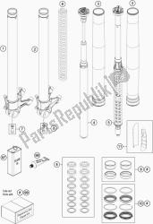 FRONT FORK DISASSEMBLED