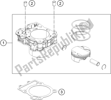 All parts for the Cylinder of the KTM 250 Duke,white,w/o Abs-ckd 2019