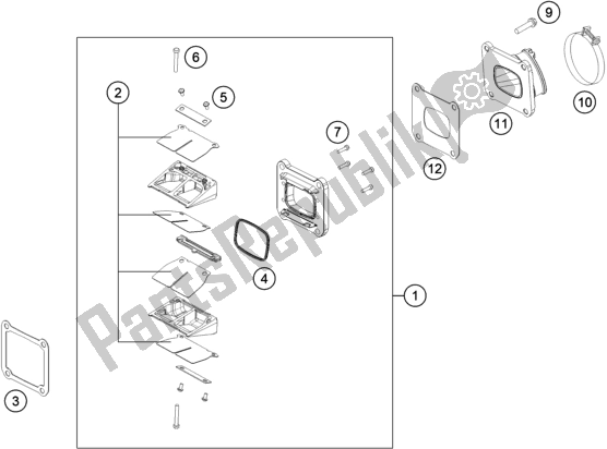 All parts for the Reed Valve Case of the KTM 250 SX EU 2018