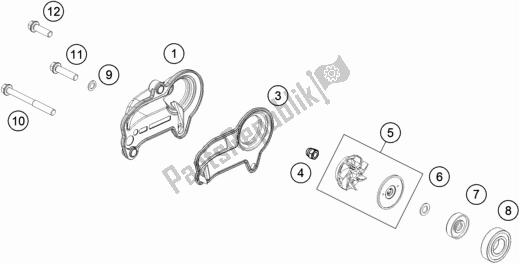 All parts for the Water Pump of the KTM 300 EXC TPI Erzbergrodeo EU 2021