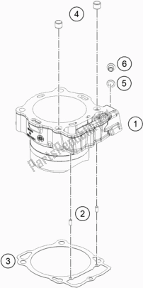 All parts for the Cylinder of the KTM 450 Rally Factory Replica 2020