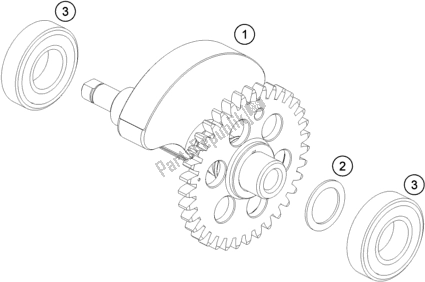 Tutte le parti per il Albero Di Bilanciamento del KTM 690 Enduro R US 2018