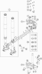 forcella anteriore, pinza tripla