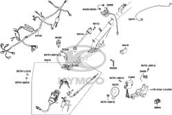 F19 - Wire Harness