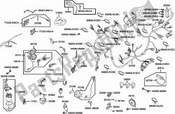 F19 - Wire Harness