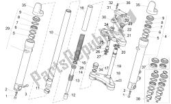 forcella anteriore ii