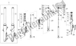 forcella anteriore