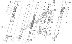 forcella anteriore ii