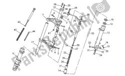 forcella anteriore
