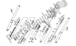 forcella anteriore